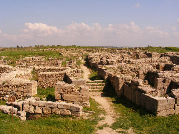 DSCF0731.jpg
