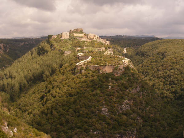 DSCF0751.jpg