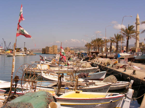 DSCF0920.jpg