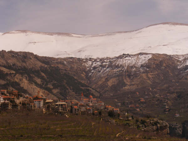 DSCF0943.jpg