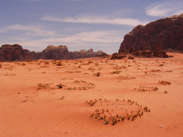 DSCF1239.jpg