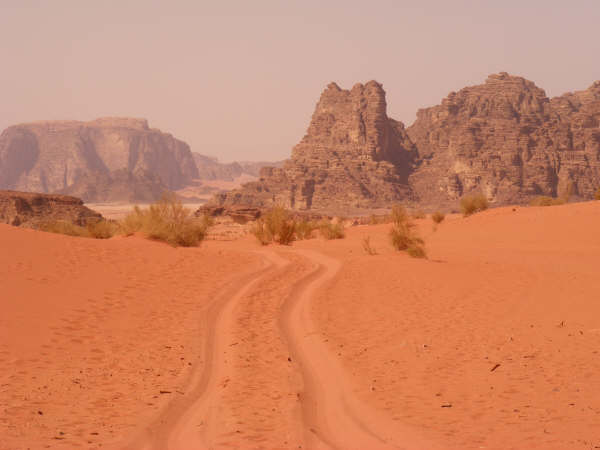 DSCF1284.jpg