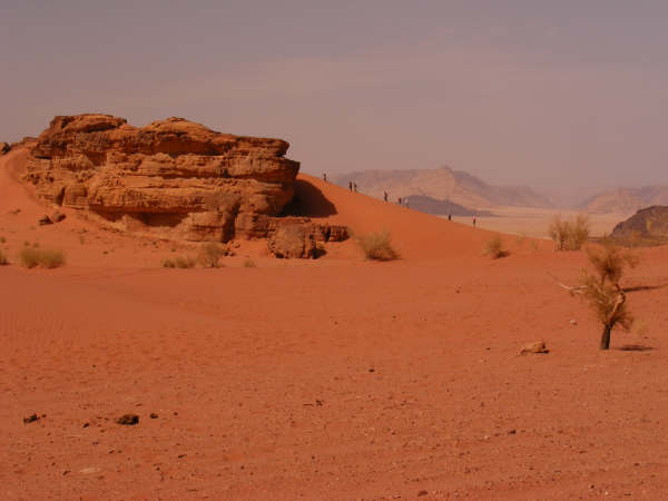 DSCF1287.jpg