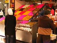 DSCF1051.jpg