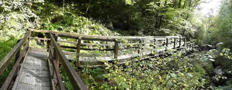 Name: Lydford Gorge Camera make: SONY Model: SONY Software: 