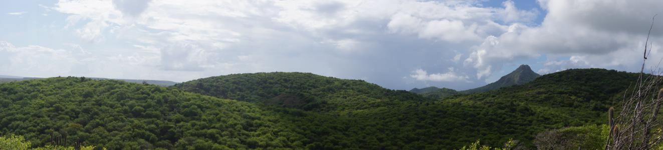 Name: Jase Panorama Camera make: SONY Model: SONY Software: SLT-A55V v2.00