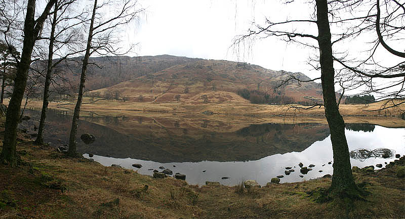 Name: Lake reflection Camera make: NA  Model: NA  Software: NA