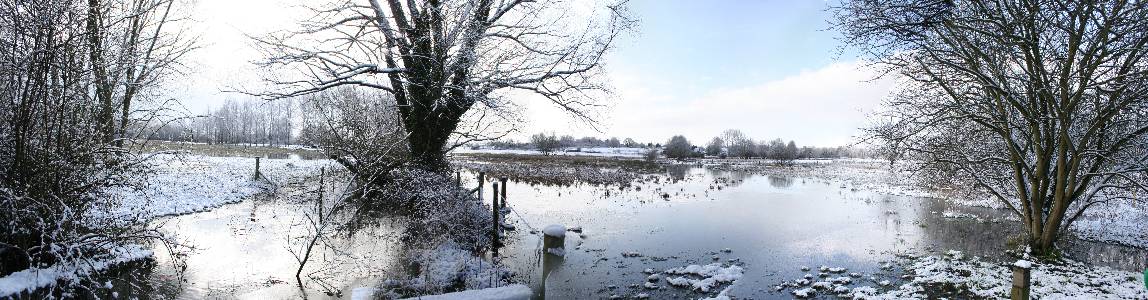 Name: marsdon marshes Camera make: NA    Model: NA    Software: NA