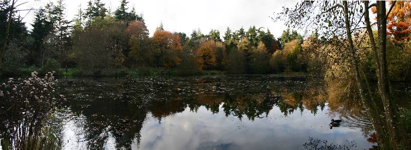 Name: thetford tree arboretum Camera make: NA  Model: NA  Software: NA